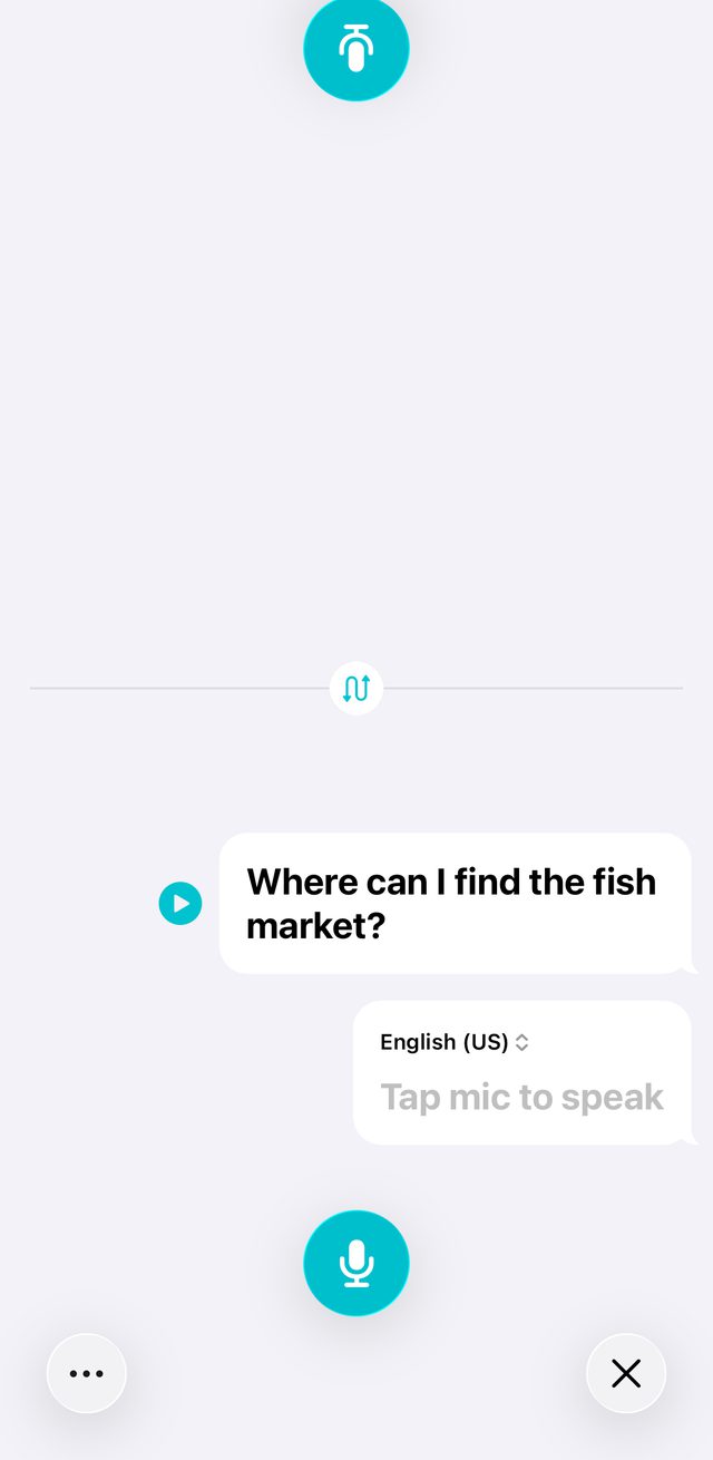Apple Translate screenshot