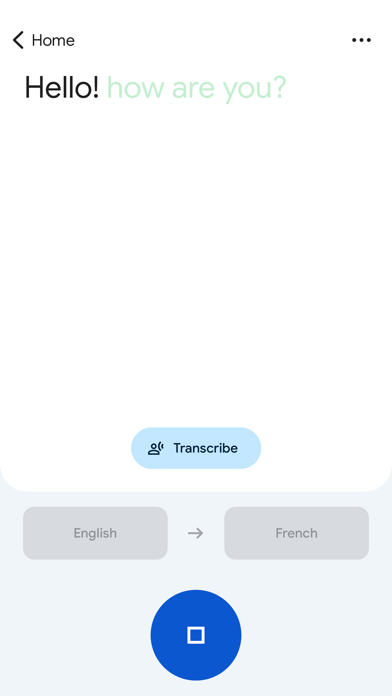 Google Translate screenshot 4