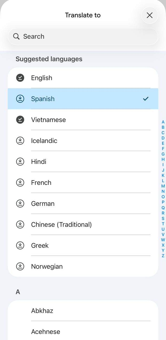 Google Translate screenshot